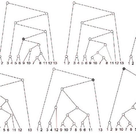 Tree Rotation に対する画像結果