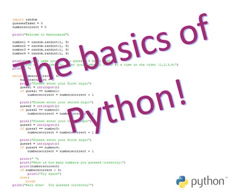 Image result for What Type of Coding Is Python Basics