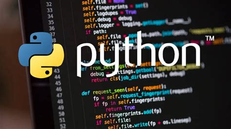 Toradh íomhá ar Python Programming Language with Doll