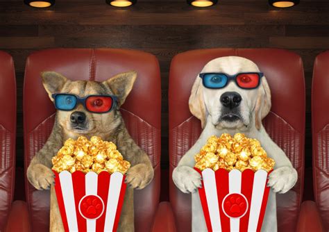 Image result for Animal Dog Movies