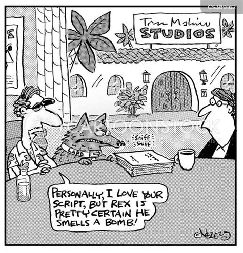 Image result for Script Cartoon