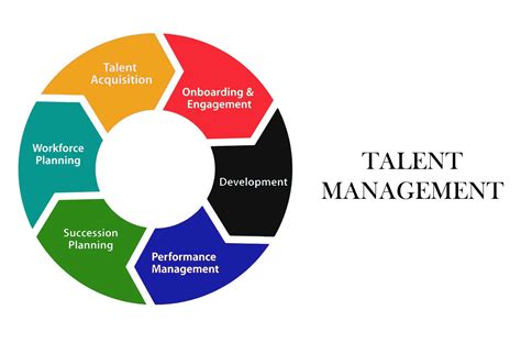 Talent Management System Purpose に対する画像結果