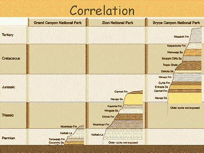 Stratigraphic Correlation Chart に対する画像結果
