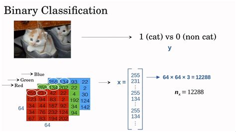 Image result for Binary Classification Simplified Flow