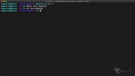 Toradh íomhá ar OpenResty Modules