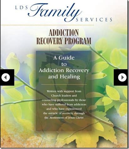 Image result for Drug Addiction Recovery Programs