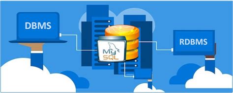 Toradh íomhá ar Examples of Database Management Software