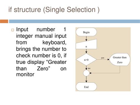 Afbeeldingsresultaten voor Flowchart Single Selection