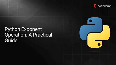 Image result for Exp Python