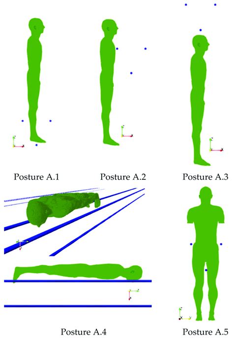 Image result for Formula Body Position