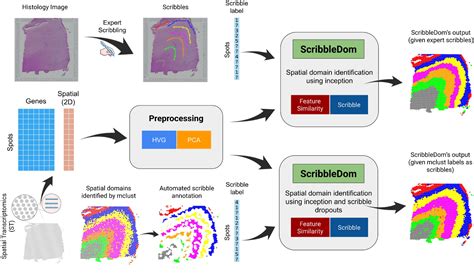 Image result for Scribble Data Chart