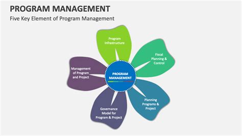 Image result for Program Management Module