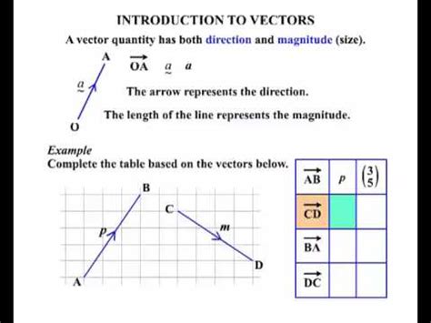 Image result for Vectors Introduction