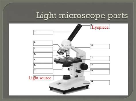 Image result for Modern Compound Light Microscope
