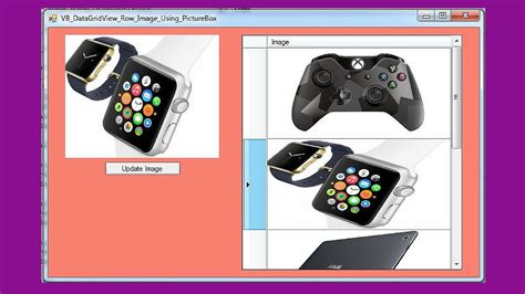 Vb.net DataGridView Update Video Tutorial に対する画像結果
