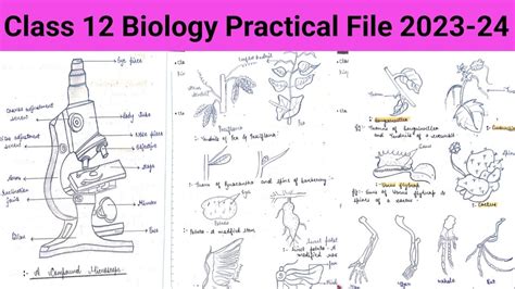 Image result for Class 12 Rbse Practical File