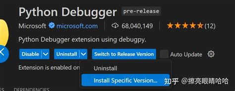 Toradh íomhá ar Install Python3 Vscode