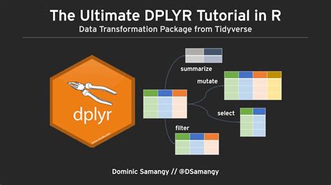 Image result for Dplyr Python Logo