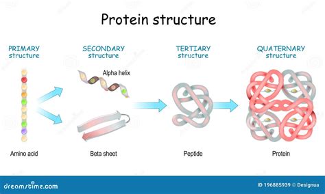 Secondary Protein Structure に対する画像結果