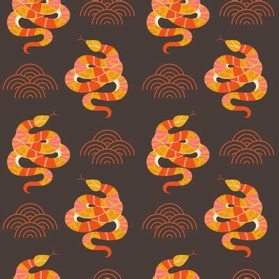 Image result for Snake Pattern Decorative