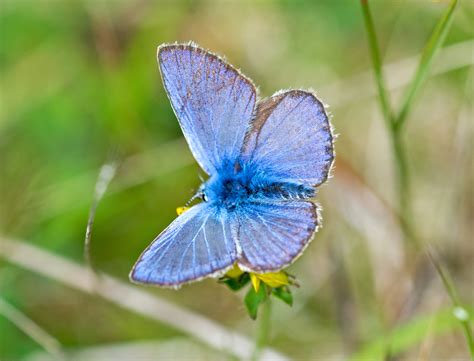 Image result for Common Programming Paradigms