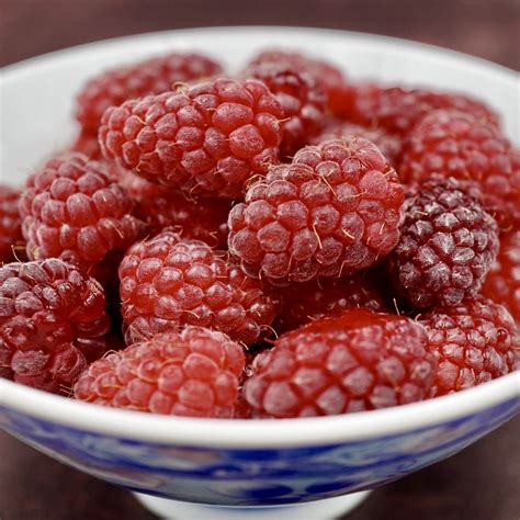 Image result for Raspberry Pi Watch