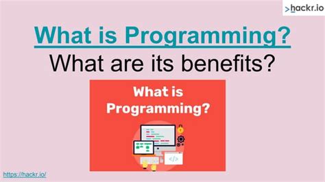 Image result for Uses of Programming