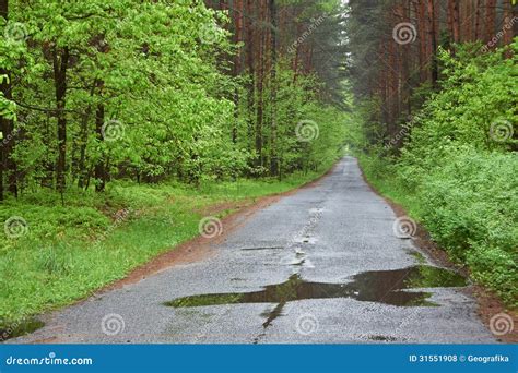 Spring Rain Road に対する画像結果