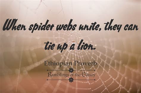 Toradh íomhá ar Unity Proverbs