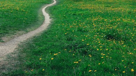 Index Use in SQL に対する画像結果