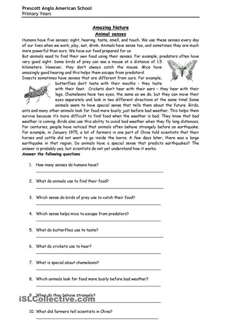 Reading Comprehension Worksheets Grade 9 に対する画像結果