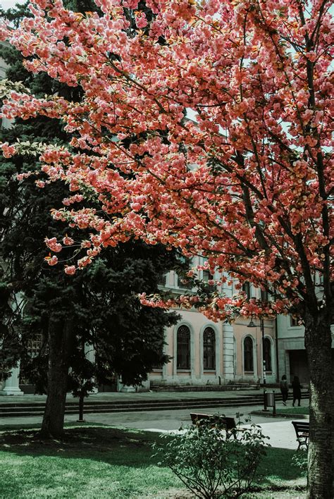 Image result for Springtime Photography