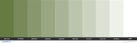 Image result for Olive Green Color RGB