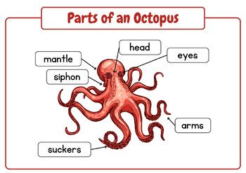 Image result for Cartoon Heart Pattern