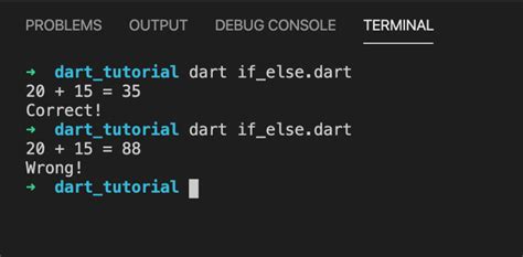 Image result for Example of Dart Code