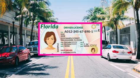 Image result for FL Drivers License Check