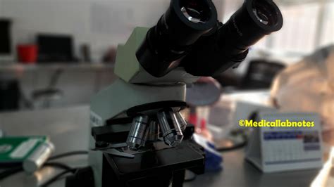 Image result for Compound Microscope Stage