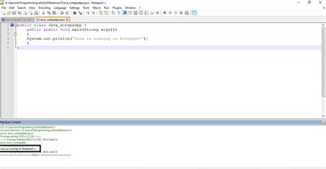Image result for Notepad++ Java