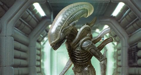 Image result for Alien 3 Xenomorph Art