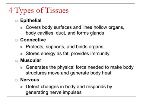4 Main Tissue Types に対する画像結果