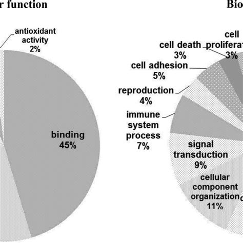 Scientific Classification Ofturkey に対する画像結果