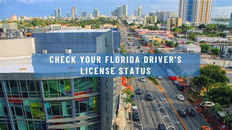 Image result for Florida DMV License Check