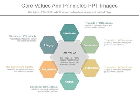 Image result for What Are Core Values and Operating Principles