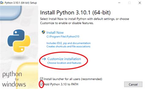 Step Install Python に対する画像結果