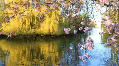 Image result for Wallpaper Spring Open Windows