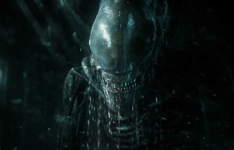 Alien 1 に対する画像結果
