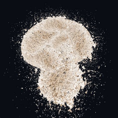 Image result for Hashy Hash