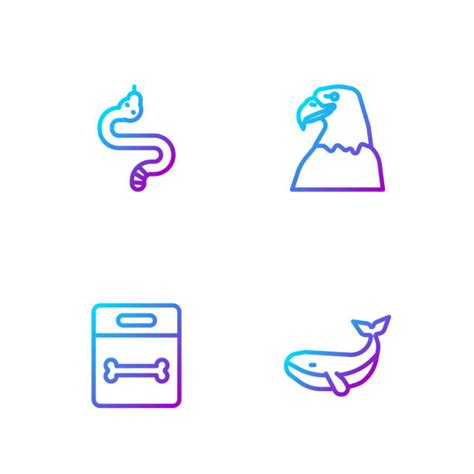 Vector Art Python Eating に対する画像結果