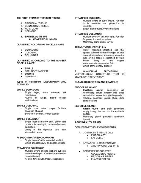 4 Main Tissue Types に対する画像結果