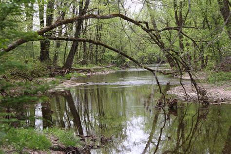 Image result for Water Data Visualisation